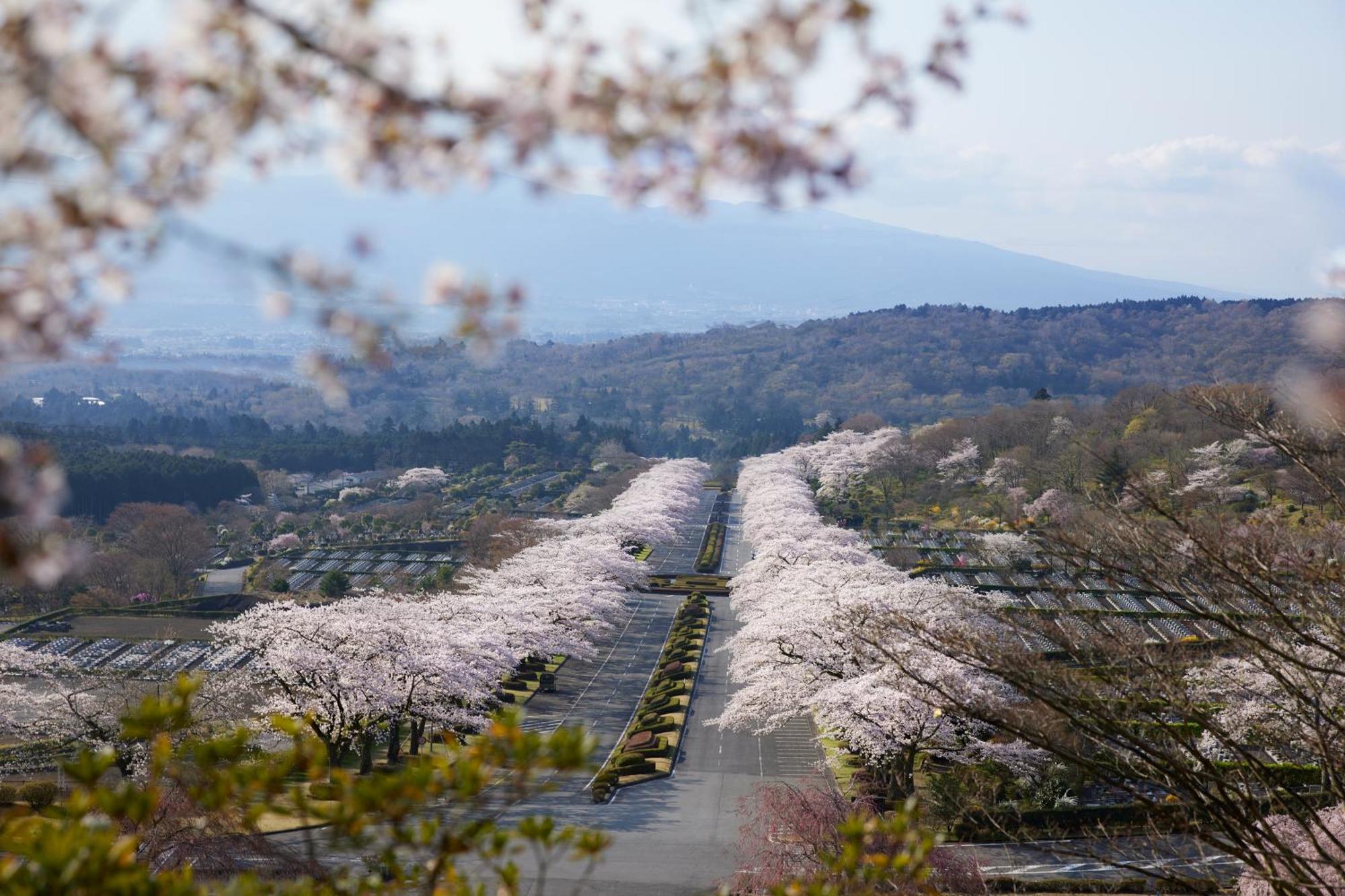 Fuji Speedway Hotel, In The Unbound Collection By Hyatt Oyama  Exterior foto